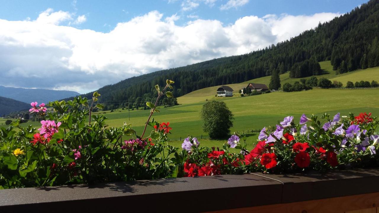 Ferienwohnungen Haus-Holzer Mauterndorf  Dış mekan fotoğraf