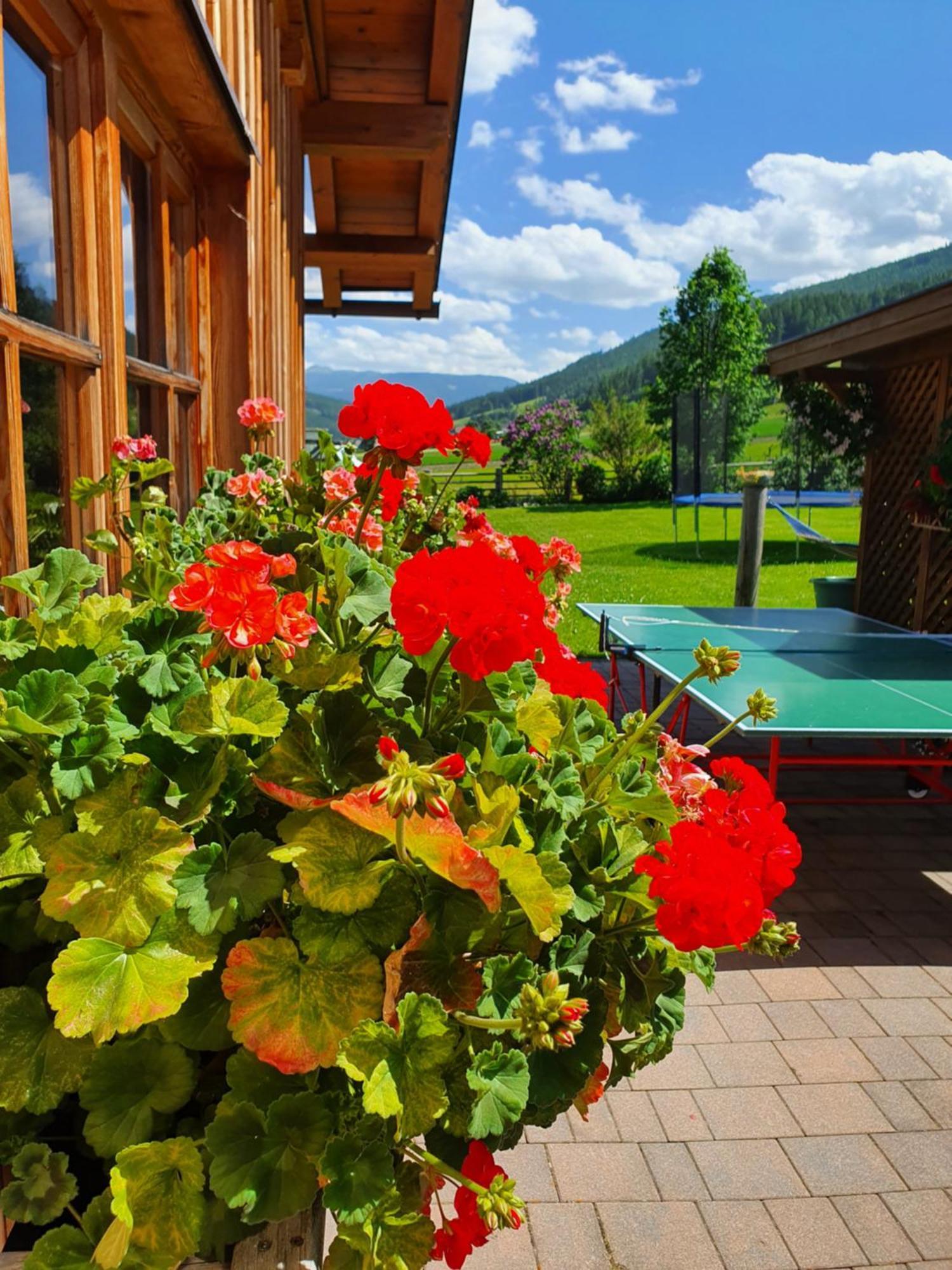 Ferienwohnungen Haus-Holzer Mauterndorf  Dış mekan fotoğraf