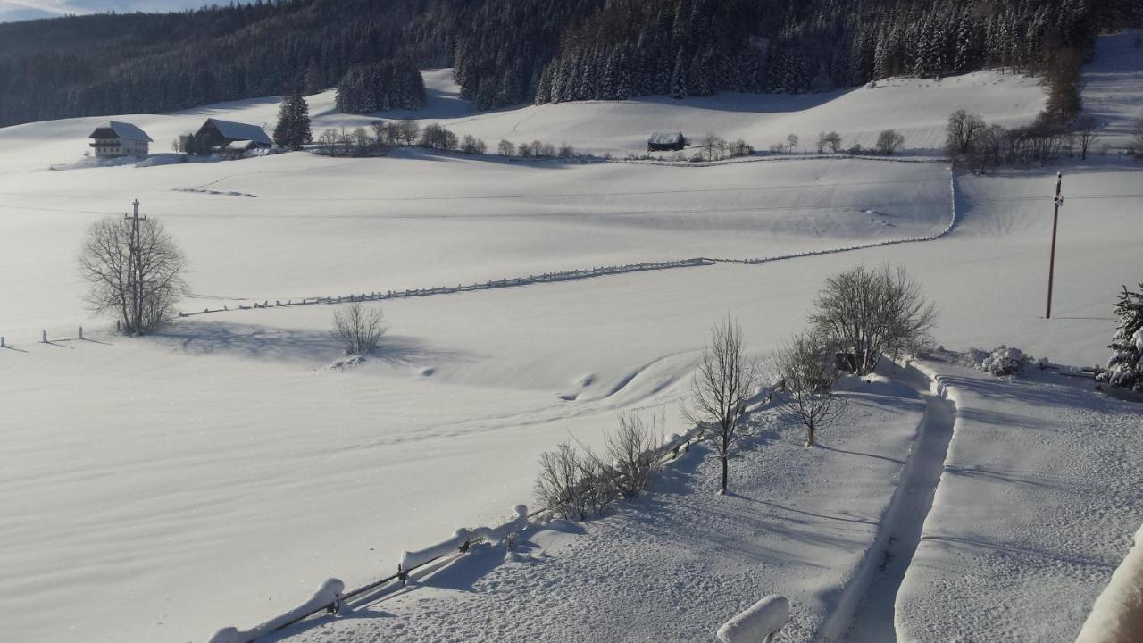 Ferienwohnungen Haus-Holzer Mauterndorf  Dış mekan fotoğraf